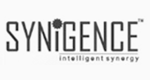 Home 20 Synigence