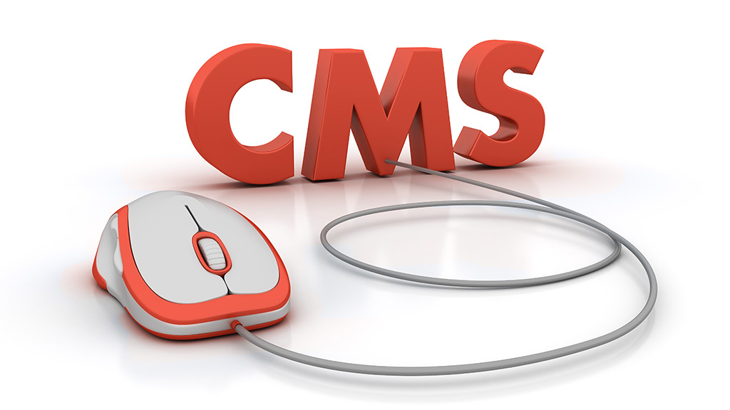 which-cms-will-you-use-to-build-my-site