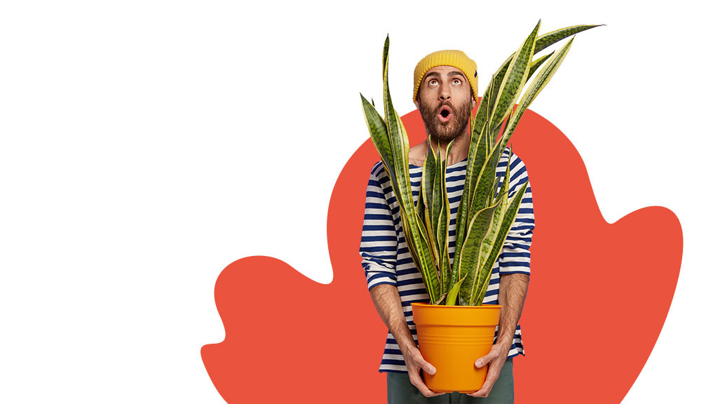 The Scope of Digital Marketing in 2021| 7 Top Trends 4 Strong Emphasis on Sustainability and Goodwill 1